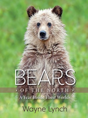 Bears of the North - ebook